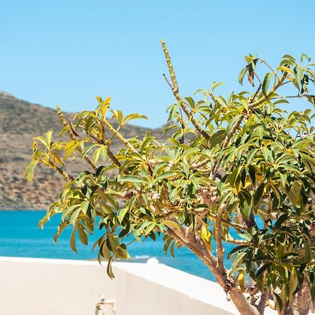 Chrispy Beach Resort, Agia Marina Eksteriør bilde
